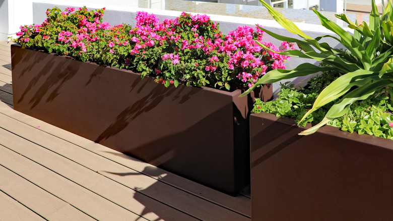 Two large fiberglass planters filled with flowering plants on a balcony deck.