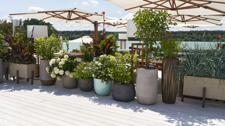 What Are Fiberglass Planters & Are They The Best Choice?