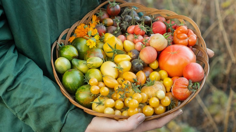 heirloom tomatoes