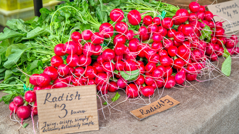 radishes on a table