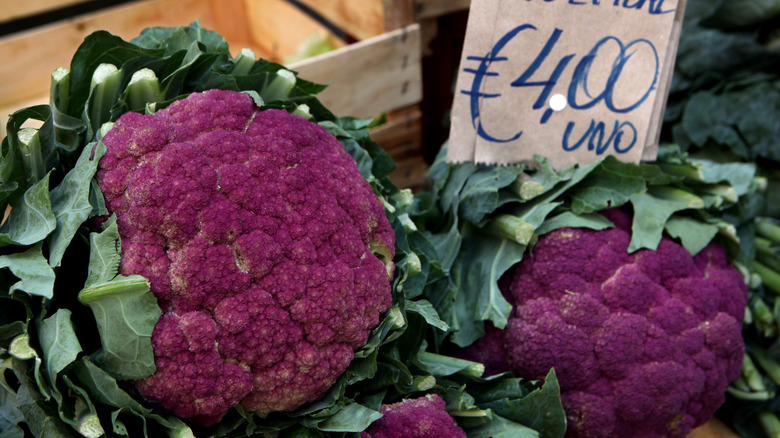 purple cauliflower