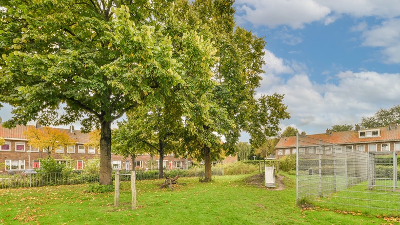 Small neighborhood park with trees