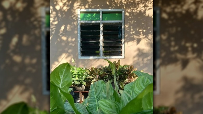 Jalousie windows in tropical home