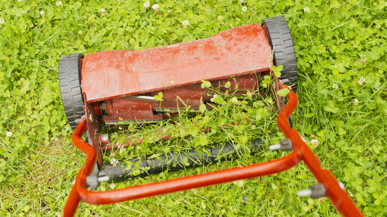 push mower mixed lawn