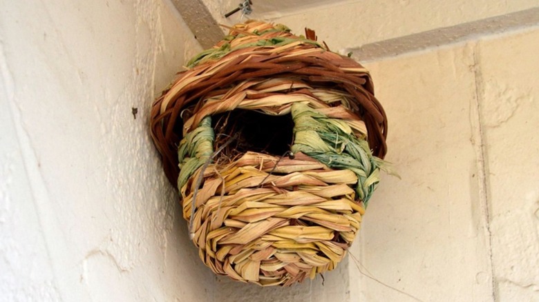 Roosting pocket mounted on a nail in a brick wall