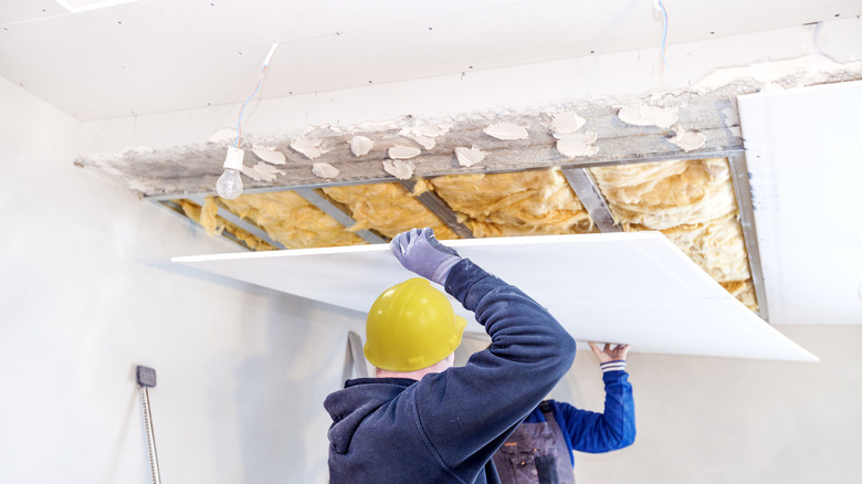 workers install drywall ceiling