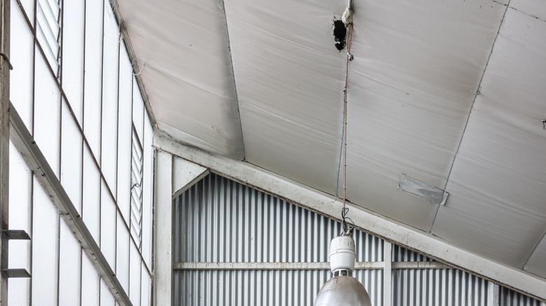 an industrial shed ceiling