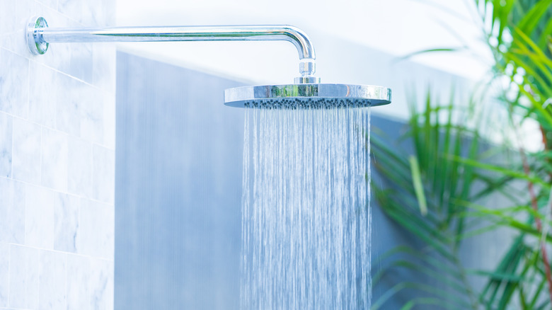 stylish outdoor shower with plants