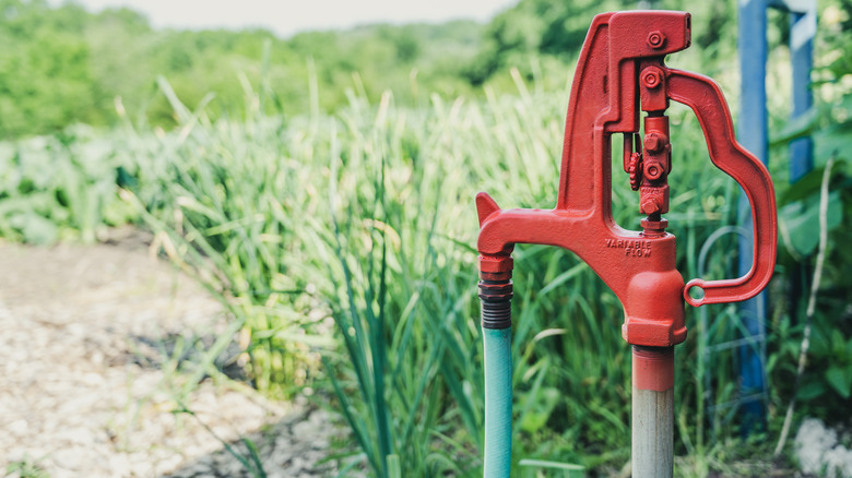 yard hydrant with hose attached