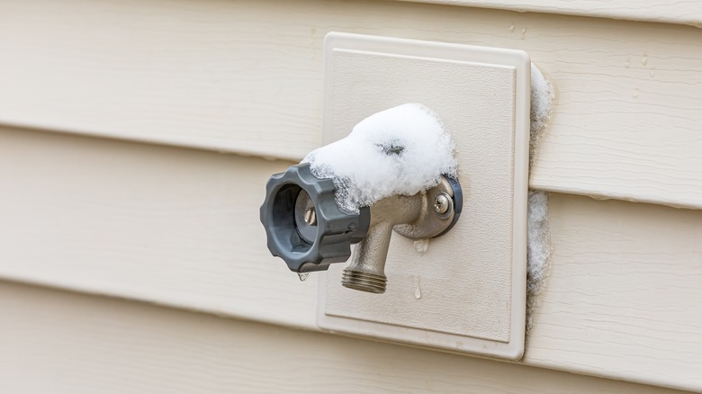 freezeless sillcock on home exterior