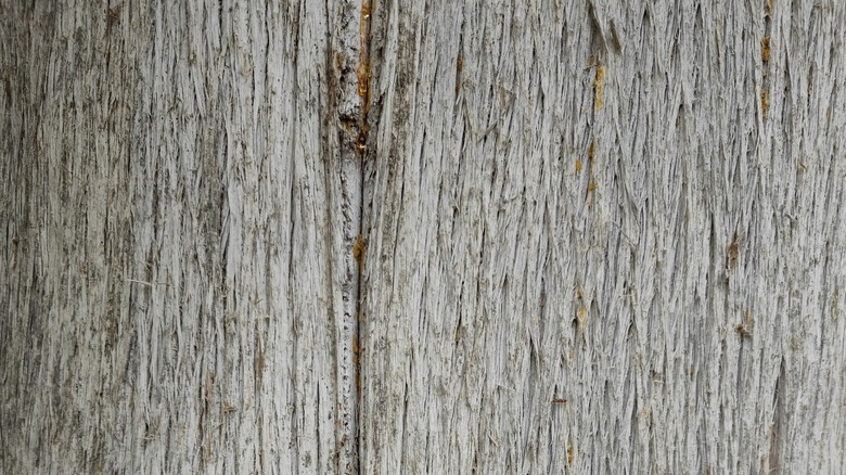 Aged cypress plank close-up