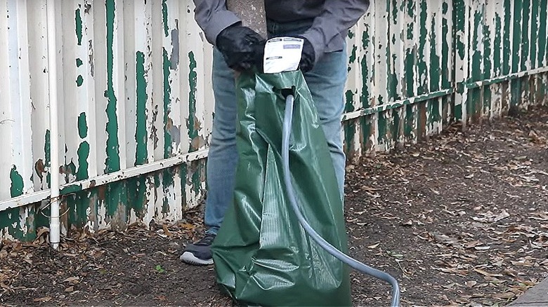 Hose in tree watering bag