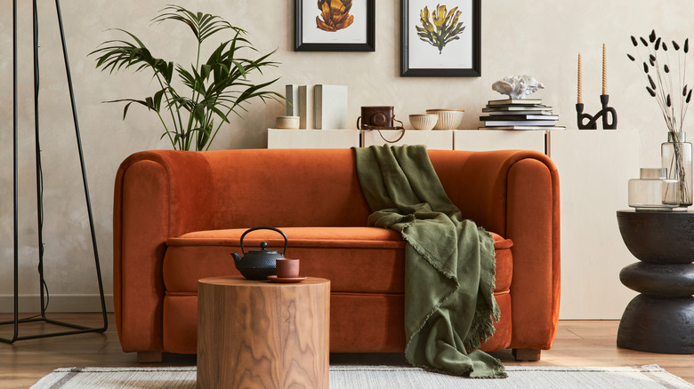 Burnt orange couch, green blanket