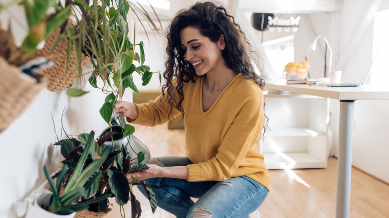 woman waters indoor hanging plants