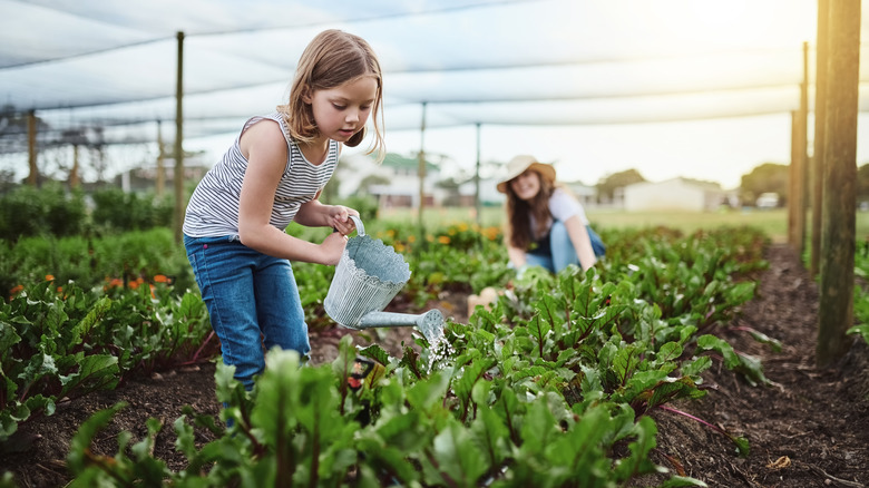 young girl and mother water lettuce in garden