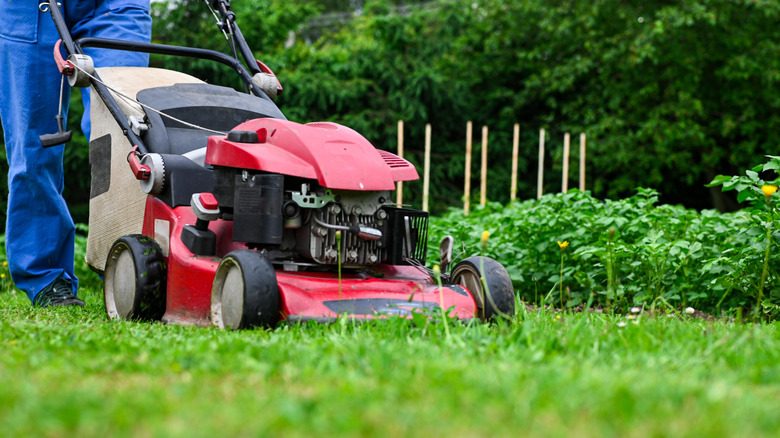 A red lawn mower approaching over grass