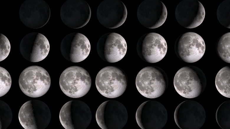 Phases of the moon