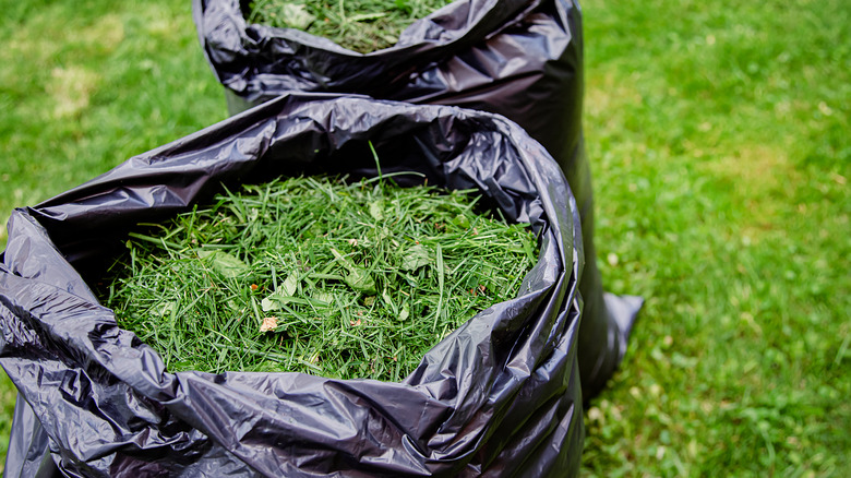 bags of grass clippings