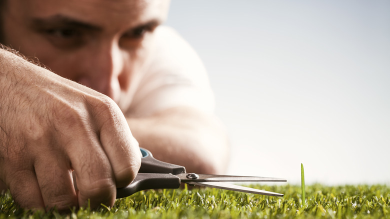 Man cutting lawn with scissors