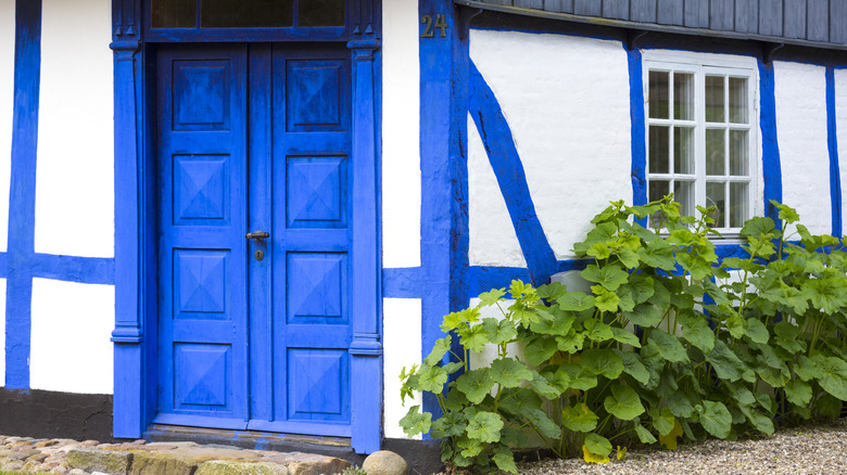 Blue front door with greenery