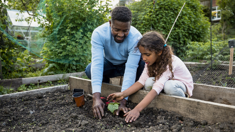 father and daughter gardening