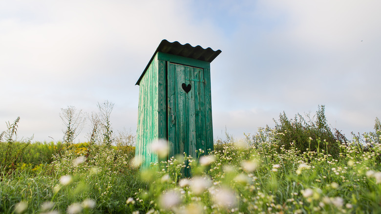 green heart outhouse in meadow