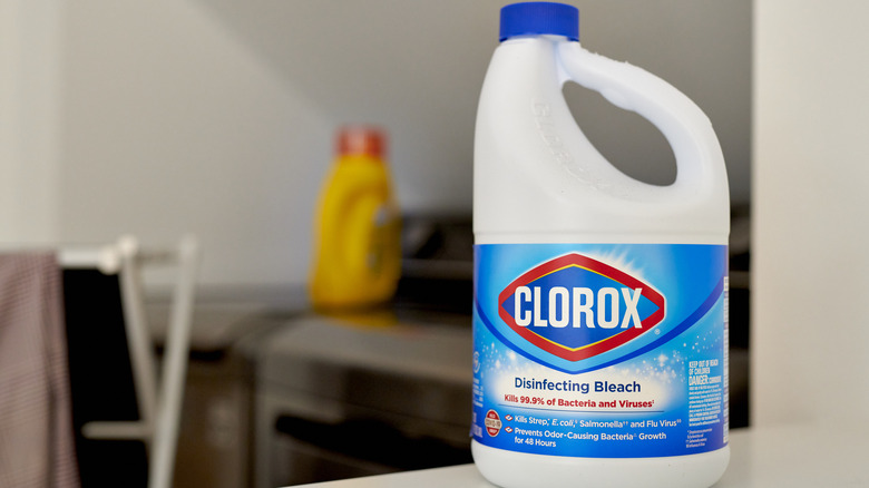 bottle of clorox bleach