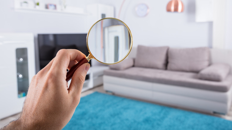 Hand holding a magnifying glass