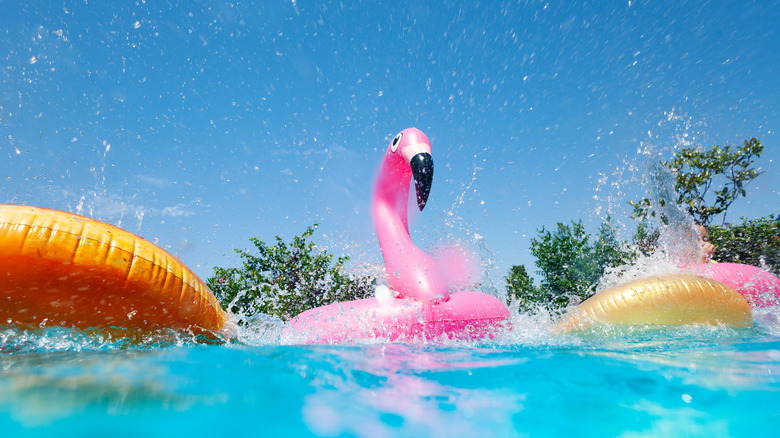 pool floats in pool