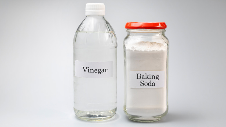Bottles of vinegar and baking soda