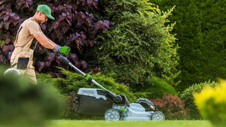 Landscaper mowing the grass 