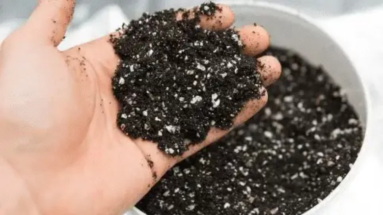Hand holding soil mixed with styrofoam 