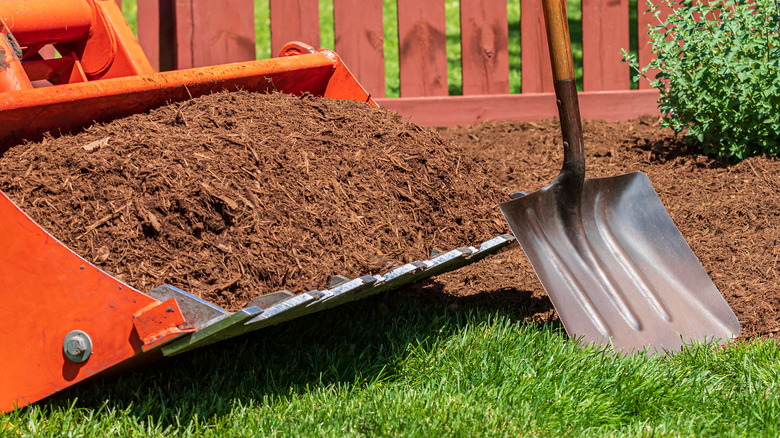 Load of mulch with shovel