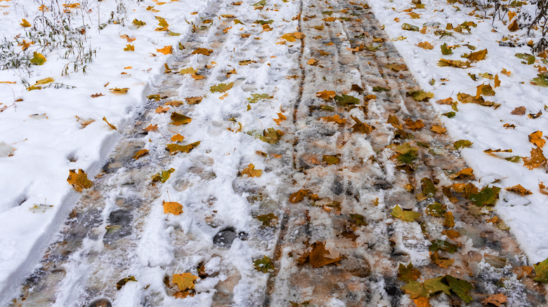 road with leaves and snow