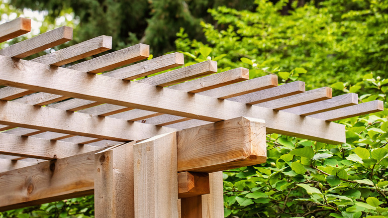 wooden pergola with forest backdrop