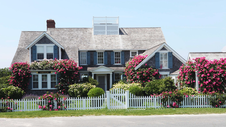 Cape Cod house