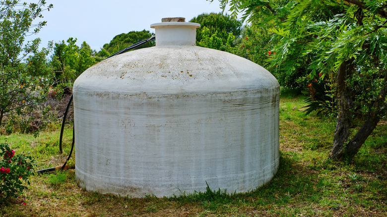 A large, white above-ground cistern in a grove