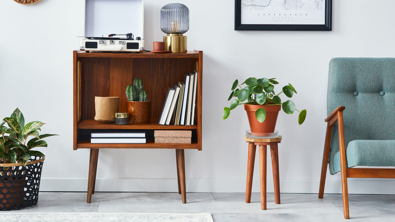 Plant on small wooden table