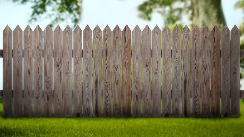 A basic wooden fence under a tree in a yard