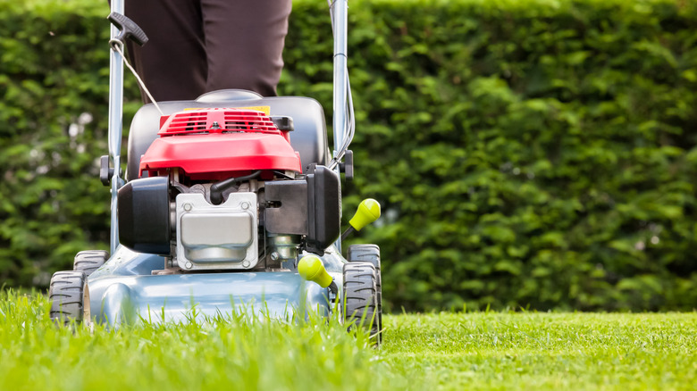 lawn mower moving across lawn