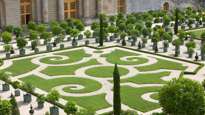 Formal gardens at Versailles with many potted trees and scrolling paths