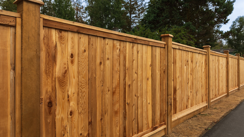 High-quality wooden fence in front of trees