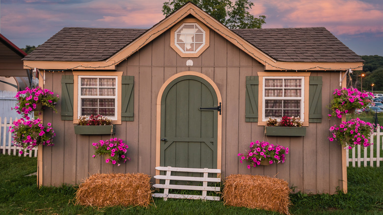 Backyard tiny cottage