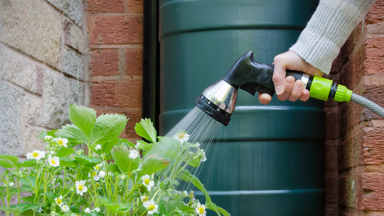 Greywater : All you need to know - GreenSutra®