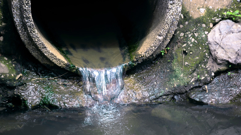 water coming out of a sewer