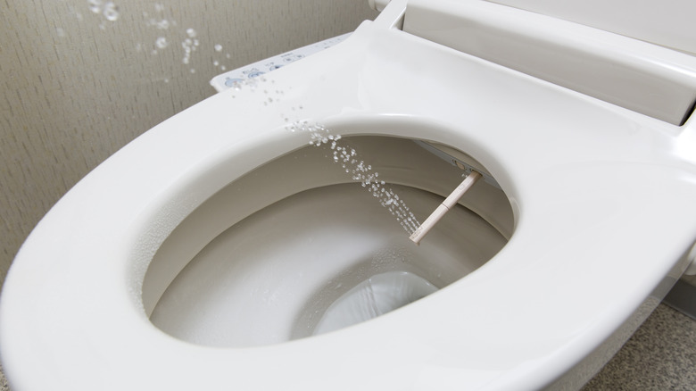 Bidet in toilet bowl