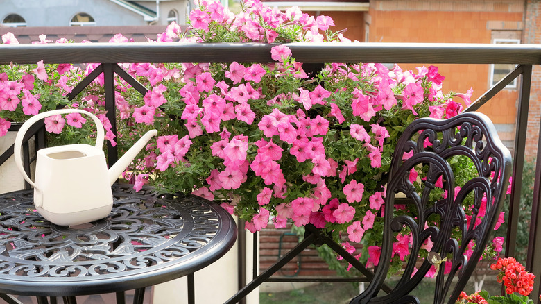 flowers on balcony railing