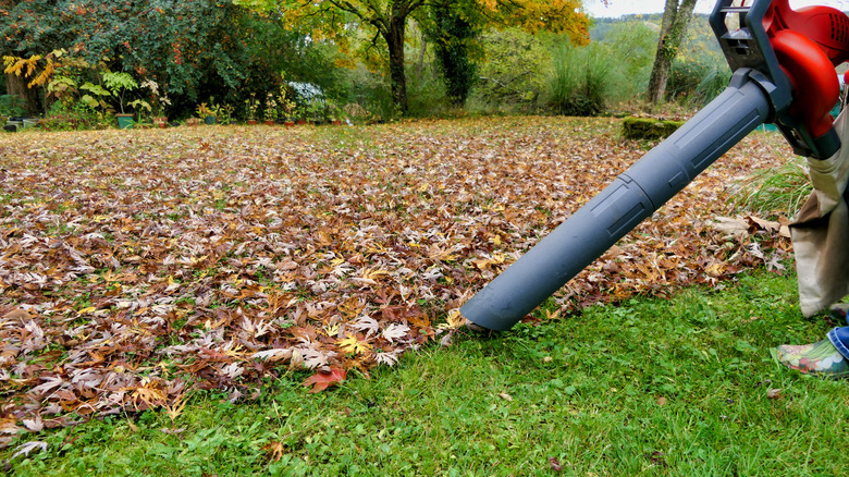 vacuuming up leaves on lawn