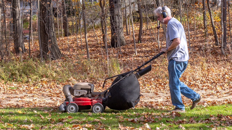 pushing a lawn vacuum