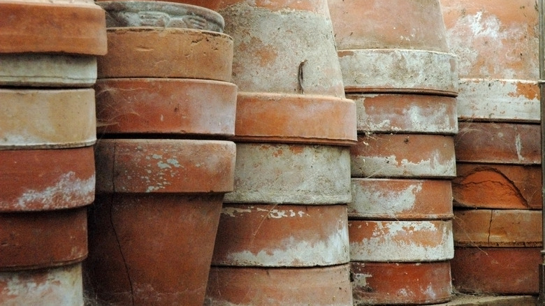 Terracotta pots with mineral buildup